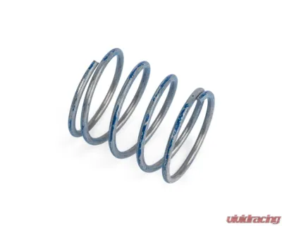 APR R1 Diverter Valve Higher Pressure Spring - Z1001791