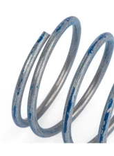 APR R1 Diverter Valve Higher Pressure Spring                                     - Z1001791 - Image 2