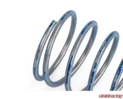 APR R1 Diverter Valve Higher Pressure Spring - Z1001791
