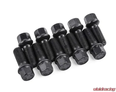 APR 27mm Steel Lug Bolts Set of 10 for Audi, Volkswagen, Lamborghini, Bentley - MS100171