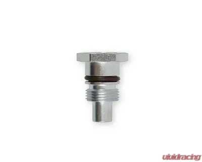 Earl's Performance Saginaw Type II Power Steering Pumps Remote Reservoir Adapter Kit w/ -10 AN Inlet - PS0002ERL