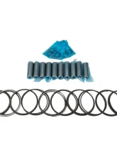 Titan Motorsports Pistons for Audi R8 | Lamborghini 5.2L 2006+                                     - TMS LAM-ENG-525 - Image 4