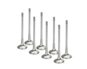 Supertech Set of 8 Inconel Exhaust Valve Nissan 1989-2002
