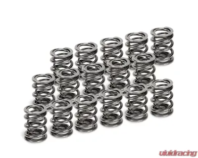 Supertech Dual Valve Springs Subaru EJ20 Turbo DOHC | Vauxhall LEH-X20XEV - SPR-TS1015-16