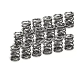 Supertech Set of 16 Dual Valve Spring Audi | Volkswagen 1994+
