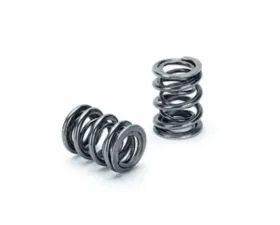 Supertech Dual Valve Spring Kit Audi TT | Volkswagen Golf 1998-2008