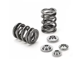 Supertech Dual Valve Spring Kit Audi | Porsche | Volkswagen 1991-2018