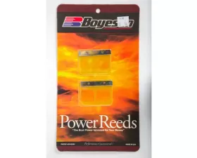Boyesen Motorcycle Reeds Kawasaki KX125 2001-2002