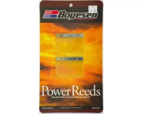 Boyesen Motorcycle Reeds Suzuki RM250 2000