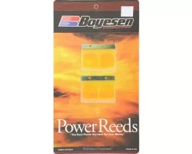 Boyesen Motorcycle Reeds Suzuki RM125 2000