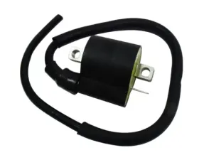 Bronco ATV Ignition Coil for Yamaha/Suzuki