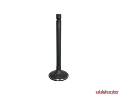 Bronco Intake Valve for Yamaha YFM - AU-09152I