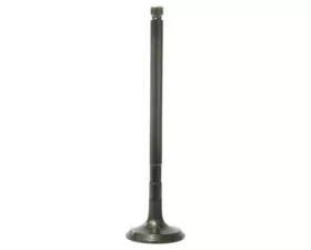 Bronco Exhaust Valve for Polaris