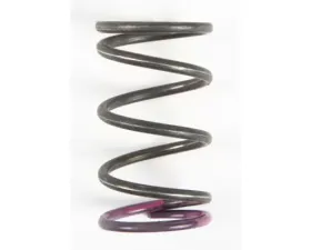 Comet Pink Clutch Spring