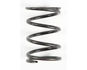 Comet Black Clutch Spring