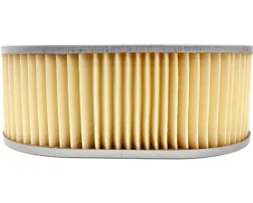 EMGO Air Filter 12-90500