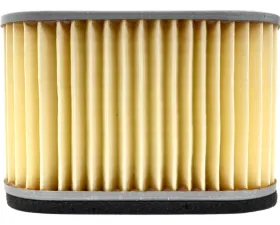 EMGO Air Filter 12-94310