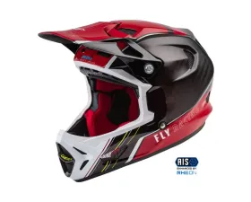 Fly Racing Youth Werx-R Carbon Helmet - Youth Large