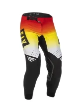 Fly Racing Evolution DST LE Primary Pants                                     - 375-13436 - Image 2