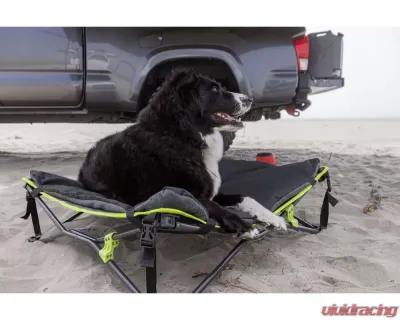 Ironman 4x4 Quick Fold Dog Bed w/ Padded Mat - IPET0023