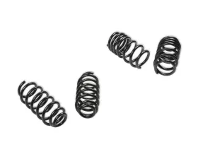 Rekudo Performance Lowering Spring Set Tesla Model 3 AWD 2018+