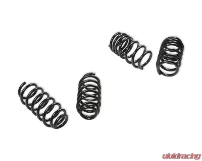 Rekudo Performance Lowering Spring Set Tesla Model 3 AWD 2018+ - RK200-10