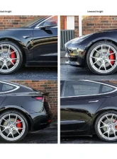 Rekudo Performance Lowering Spring Set Tesla Model 3 AWD 2018+                                     - RK200-10 - Image 10