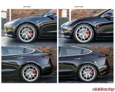 Rekudo Performance Lowering Spring Set Tesla Model 3 AWD 2018+ - RK200-10