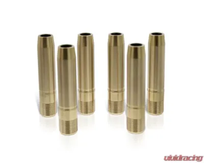 Ferrea Exhaust & Intake Valve Guide - Set of 10 Dodge Viper 8.4L V10 Gen 4 | Gen 5 - VG1107