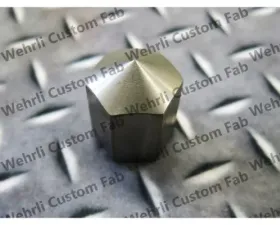 WCFab Twin CP3 Stainless Mount Nut Stainless for Duramax 2001-2016