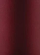 WCFab 2013-2018 6.7L Cummins OEM Placement Coolant Tank Kit Cherry Frost Two Stage Powder Coating                                     - WCF100628-CF - Image 2