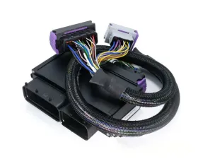 ECUMaster PnP for EMU Black Fiat 500 | Abarth TJET 1.4