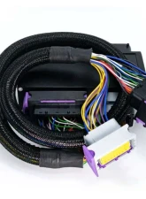 ECUMaster PnP for EMU Black Fiat 500 | Abarth TJET 1.4                                     - ECUABARTH - Image 3