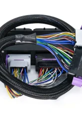 ECUMaster PnP for EMU Black Audi B5 S4 | RS4                                     - ECUB5S4B - Image 3