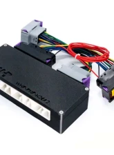 ECUMaster PnP for EMU Black Honda K20A2                                     - ECUK20 - Image 3