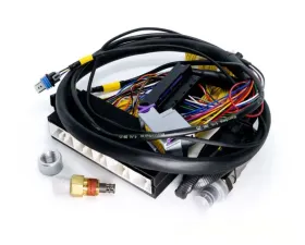 ECUMaster PnP for EMU Black Lexus IS300 | GS300 1998-2001