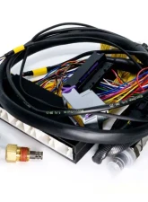 ECUMaster USA Plug and Play Adapter Harness for EMU Black Lexus IS300 GS300 1998-2001                                     - WHPIS3001 - Image 5