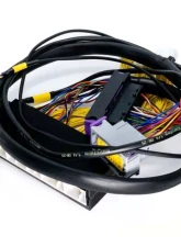 ECUMaster USA Plug and Play Adapter Harness for EMU Black Lexus IS300 GS300 1998-2001                                     - WHPIS3001 - Image 2