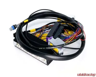 ECUMaster USA Plug and Play Adapter Harness for EMU Black Lexus IS300 GS300 1998-2001 - WHPIS3001