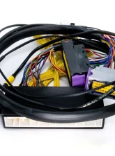 ECUMaster USA Plug and Play Adapter Harness for EMU Black Lexus IS300 GS300 1998-2001                                     - WHPIS3001 - Image 3