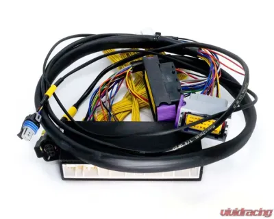ECUMaster USA Plug and Play Adapter Harness for EMU Black Lexus IS300 GS300 1998-2001 - WHPIS3001