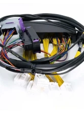 ECUMaster USA Plug and Play Adapter Harness for EMU Black Lexus IS300 GS300 1998-2001                                     - WHPIS3001 - Image 4