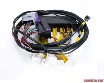 ECUMaster USA Plug and Play Adapter Harness for EMU Black Lexus IS300 GS300 1998-2001 - WHPIS3001