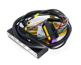 ECUMaster EMU Black PnP Adapter Lexus IS300 | GS300 PNP 2002-2005