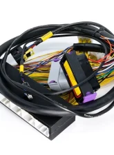 ECUMaster EMU Black PnP Adapter Lexus IS300 | GS300 PNP 2002-2005                                     - WHPIS3002 - Image 5