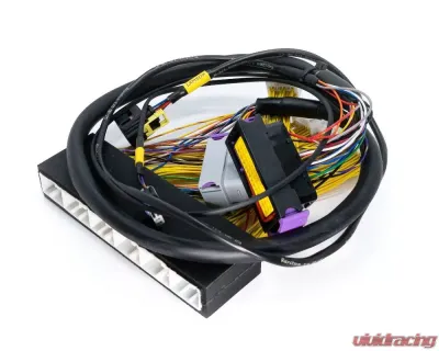 ECUMaster EMU Black PnP Adapter Lexus IS300 | GS300 PNP 2002-2005 - WHPIS3002