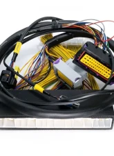 ECUMaster EMU Black PnP Adapter Lexus IS300 | GS300 PNP 2002-2005                                     - WHPIS3002 - Image 2