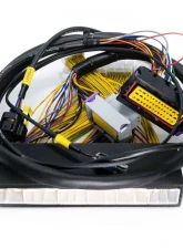 ECUMaster EMU Black PnP Adapter Lexus IS300 | GS300 PNP 2002-2005                                     - WHPIS3002 - Image 3