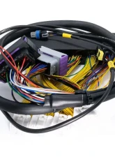 ECUMaster EMU Black PnP Adapter Lexus IS300 | GS300 PNP 2002-2005                                     - WHPIS3002 - Image 4