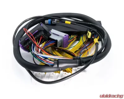 ECUMaster EMU Black PnP Adapter Lexus IS300 | GS300 PNP 2002-2005 - WHPIS3002